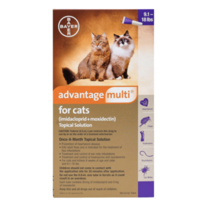 Advantage Multi Gato Mayor A 4kg X 1 Pipeta Antipulgas Y Parasitos Internos Para Gatos