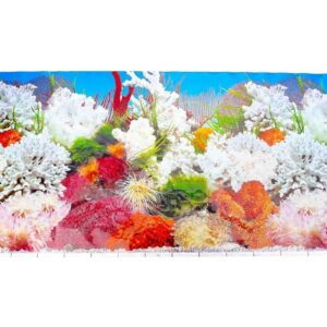 Lámina Panorama De Corales Y Plantas Para Peceras 24"x18"