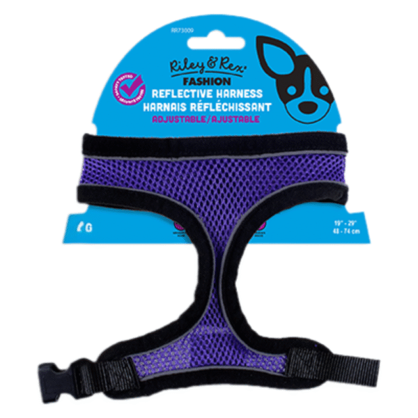 Riley & Rex Arnes Morado para Perros 19" L