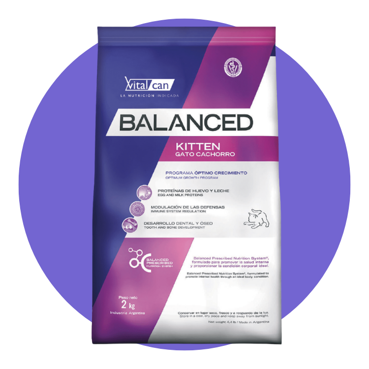 balanced-gatos
